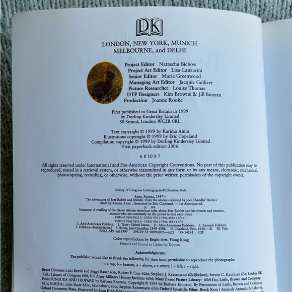 The Adventures of Brer Rabbit and Friends DK Paperback Picture Book - Picture 3 of 11